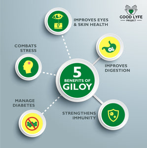 Buy Online Giloy Powder Certified Organic India Made USDA Benefits of Giloy Good Lyfe Project